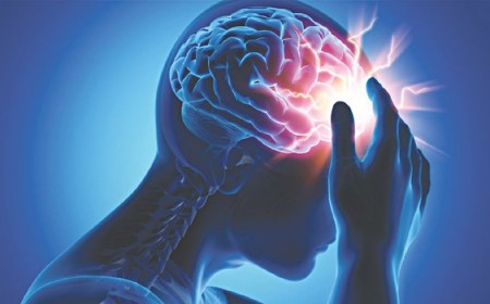 ĐỐI TƯỢNG DỄ BỊ ĐỘT QUỴ