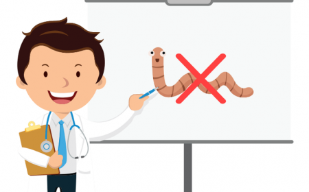 NHỮNG SAI LẦM VỀ VIỆC TẨY GIUN SÁN