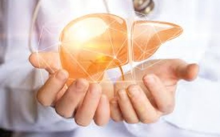 Một Số Xét Nghiệm Quan Trọng Về Chức Năng Gan