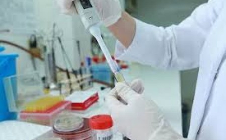 Khám Bệnh Ký Sinh Trùng Giun Sán Ở Đâu Tốt Nhất