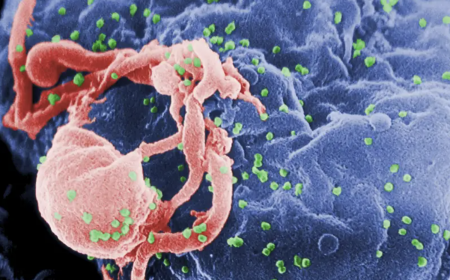 THÊM NGƯỜI KHỎI HIV NHỜ PHƯƠNG PHÁP GHẾ TẾ BÀO GỐC