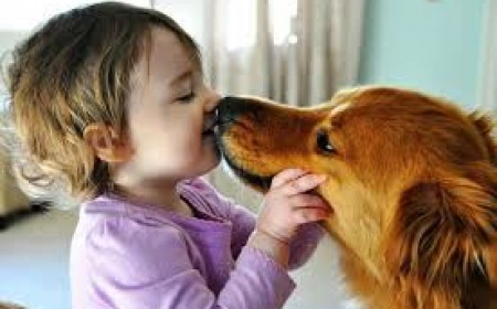 Triệu chứng sán chó nguy hiểm như thế nào