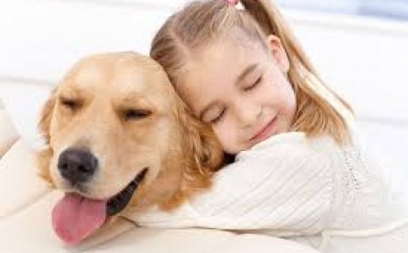 Mức Độ Nguy Hiểm Của Bệnh Sán Chó