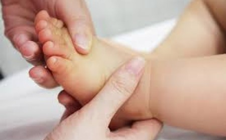 Tìm Hiểu Về Xét Nghiệm Sán Chó Như Thế Nào