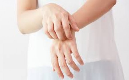 Thuốc trị giun sán chó phụ thuộc vào yếu tố nào