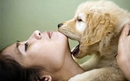 NHỮNG LƯU Ý BỆNH NHIỄM ẤU TRÙNG CHÓ MÈO