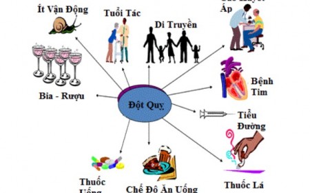 CHẾ ĐỘ DINH DƯỠNG PHÒNG NGỪA ĐỘT QUỴ