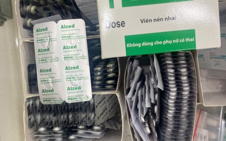 Tại Sao Chữa Bệnh Sán Chó Cần Uống Thuốc Dài Ngày? Có Tiêm Được Không?