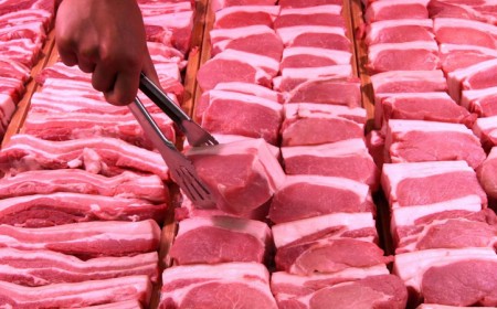 4 ĐƯỜNG NHIỄM KÝ SINH TRÙNG VÀO CƠ THỂ