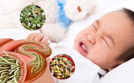 Trẻ còi cọc, lười ăn, thiếu máu vì nhiễm giun sán và cách nhận biết
