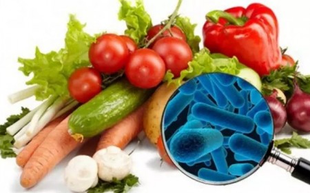 Vi Khuẩn Listeria Và Bệnh Nhiễm Trùng Listeriosis Từ Thực Phẩm