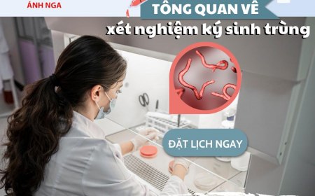 Tổng Quan Về Nhiễm Trùng Ký Sinh Trùng