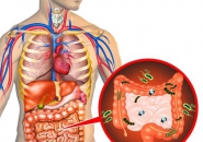 5 THỦ PHẠM LÀM TỔN THƯƠNG HỆ TIÊU HÓA