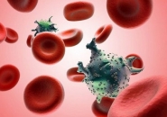 BÍ QUYẾT ĂN NGĂN NGỪA UNG TÁI PHÁT