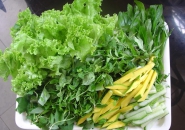 CÁC LOẠI RAU KHI ĂN CÓ NGUY CƠ NHIỄM KÝ SINH TRÙNG