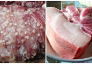 SÁN LỢN GẠO - NGUYÊN NHÂN VÀ CÁCH PHÒNG TRÁNH