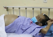 Điều Trị Sán Chó Toxocara: Khi Nào Cần Tái Khám Và Có Nên Uống Thuốc Nam Thay Thuốc Tây?