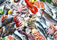 CHẾ BIẾN HẢI SẢN ĐÚNG CÁCH ĐỂ KHÔNG NHIỄM GIUN SÁN