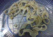 Địa Chỉ Điều Trị Bệnh Sán Dây Uy Tín Tại Hà Nội