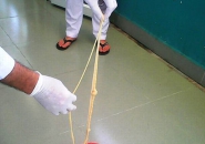 Làm thế nào để bắt con sán xơ mít dài 12 mét ra khỏi cơ thể?