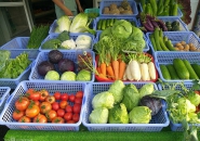 KHÔNG PHUN CHẤT KHỬ KHUẨN LÊN THỰC PHẨM 